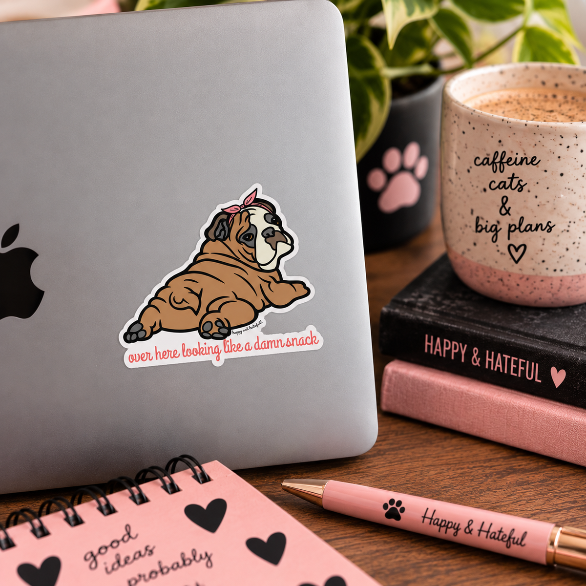 A die-cut vinyl sticker of a cartoon Bulldog lying down with a pink bow/bandana on its head, placed on the back of a silver laptop. The sticker has the text 'over here looking like a damn snack' in pink script.